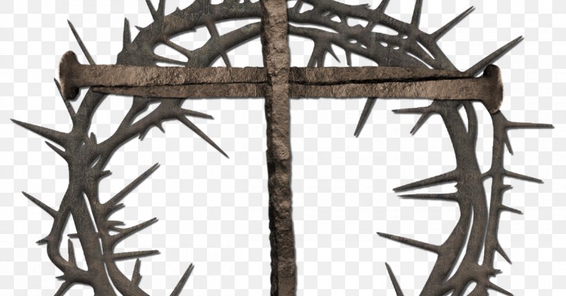 Crown Of Thorns Christian Cross Christian Symbolism Clip Art, PNG, 1200x630px, Crown Of Thorns, Antler, Branch, Christian Cross, Christian Symbolism Download Free