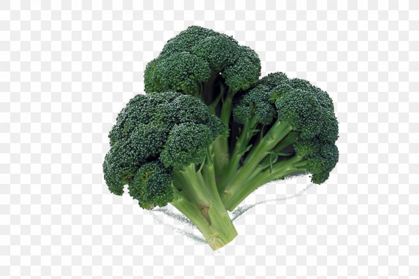 Fukaya Broccoli Vegetable Ingredient Food, PNG, 1600x1067px, Fukaya, Broccoli, Cabbage, Cabbage Family, Cauliflower Download Free