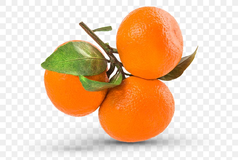 Mandarin Orange Clementine Grapefruit, PNG, 650x550px, Orange, Bitter Orange, Calamondin, Chenpi, Citric Acid Download Free