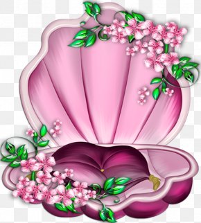 Purple - Mollusc Shell Drawing Color Purple PNG