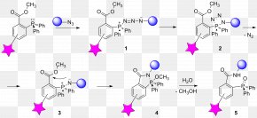 Staudinger Reaction Bioorthogonal Chemistry Chemical Reaction Ligation PNG