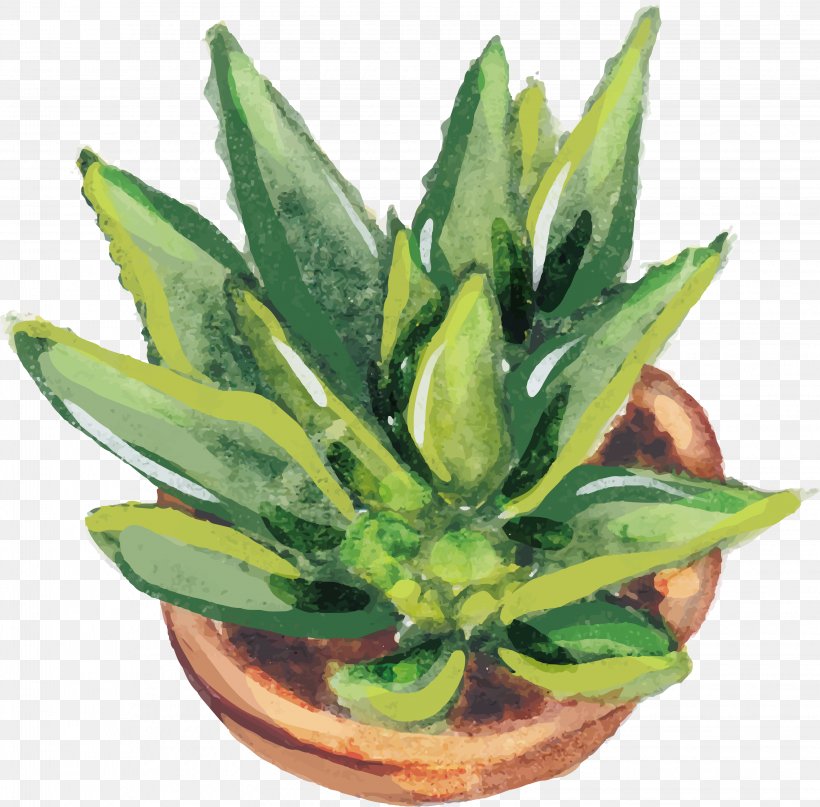 Aloe Vera Euclidean Vector Vecteur Cactaceae, PNG, 3254x3203px, Aloe Vera, Agave, Aloe, Cactaceae, Crock Download Free