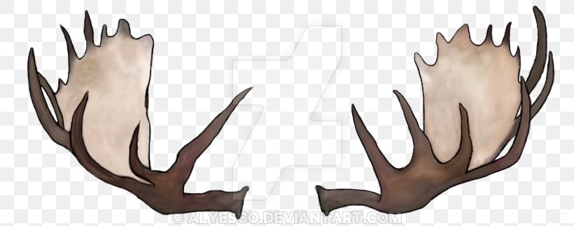 Moose Deer Antler Drawing Rudolph, PNG, 800x324px, Moose, Antler, Art, Cartoon, Deer Download Free