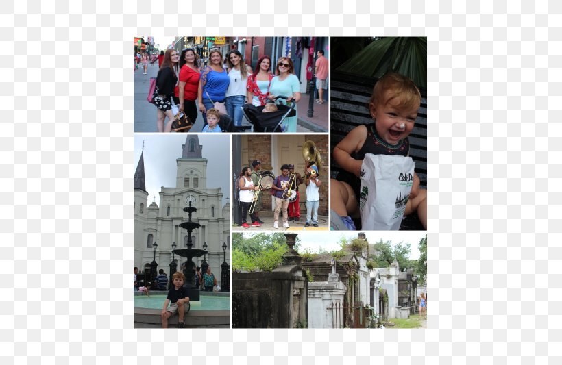 Orleans Street Florida Recreation Collage New Orleans, PNG, 535x533px, Orleans Street, Asterisk, Collage, Community, Florida Download Free