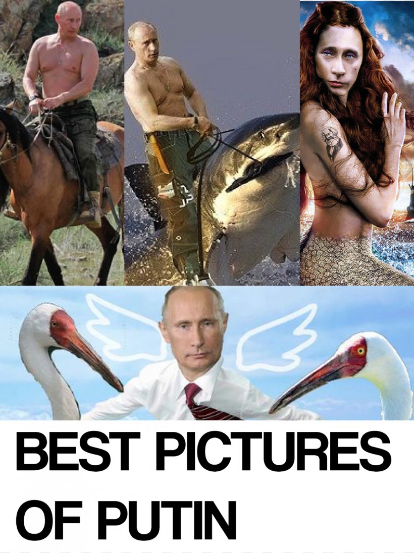 Vladimir Putin Moscow Kremlin United States President Of Russia, PNG, 1196x1600px, Vladimir Putin, Advertising, Dictator, Dmitry Medvedev, Film Download Free