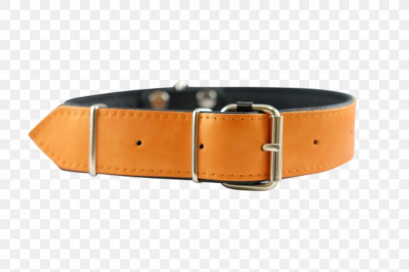 Watch Strap Buckle Belt Leather, PNG, 1600x1067px, Strap, Belt, Belt Buckle, Belt Buckles, Buckle Download Free