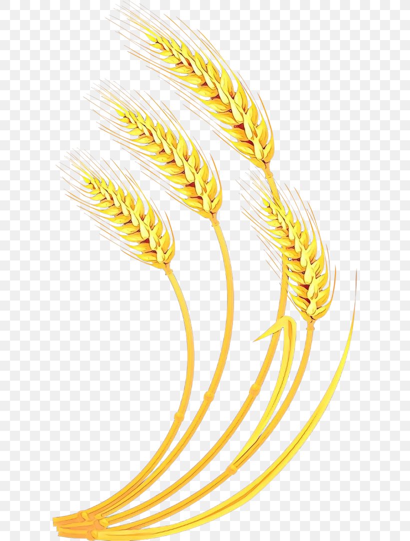 Wheat, PNG, 609x1080px, Cartoon, Food Grain, Grass Family, Plant, Wheat  Download Free