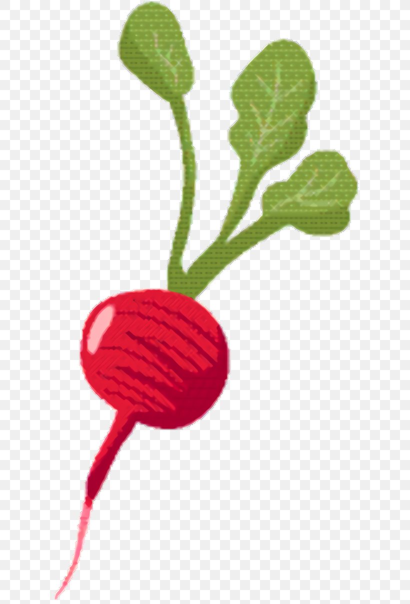 Carrot Cartoon, PNG, 640x1208px, Carrot, Advertising, Beet, Beetroot, Coquelicot Download Free