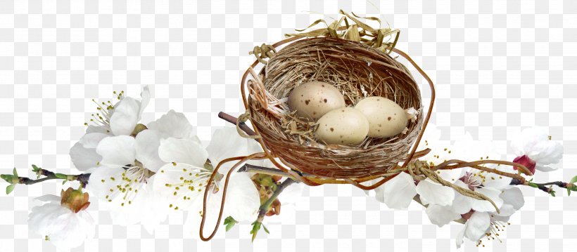 Nest Egg Clip Art, PNG, 2848x1250px, Nest, Egg, Hirundininae, Resource, Twig Download Free