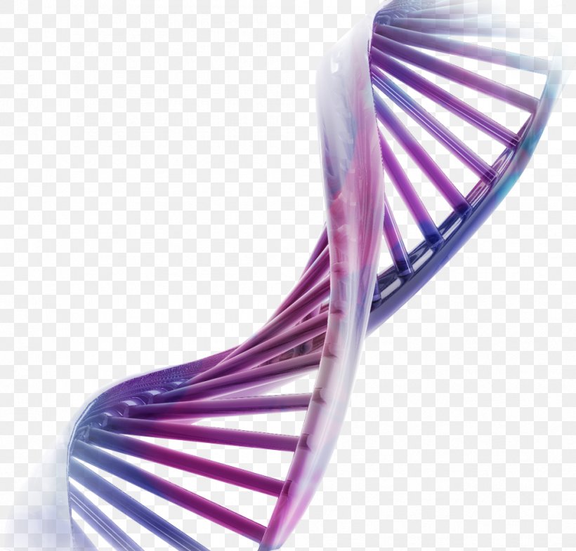 Recombinant DNA Desktop Wallpaper Genetics Chromosome, PNG, 996x954px, Dna, Cell, Chromosome, Display Resolution, Dna Sequencing Download Free