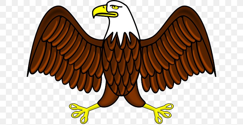Bald Eagle Clip Art Vector Graphics White-tailed Eagle, PNG, 640x422px, Bald Eagle, Accipitriformes, Animal Figure, Beak, Bird Download Free