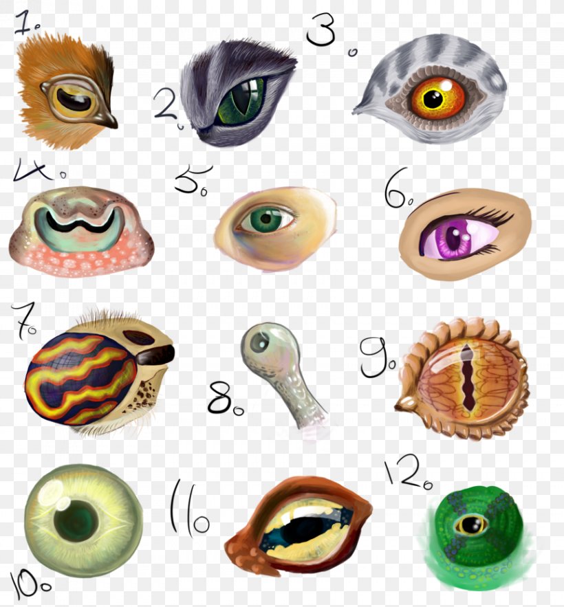 Eye Body Jewellery Animal Clip Art, PNG, 861x928px, Watercolor, Cartoon, Flower, Frame, Heart Download Free