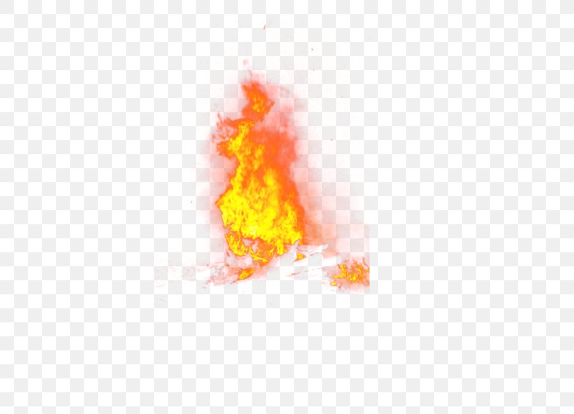 Fire Flame Euclidean Vector Computer File, PNG, 591x591px, Fire, Candle ...