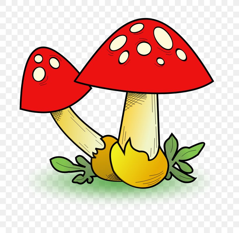 Mushroom Morchella Clip Art, PNG, 800x800px, Mushroom, Artwork, Drawing, Edible Mushroom, Flower Download Free
