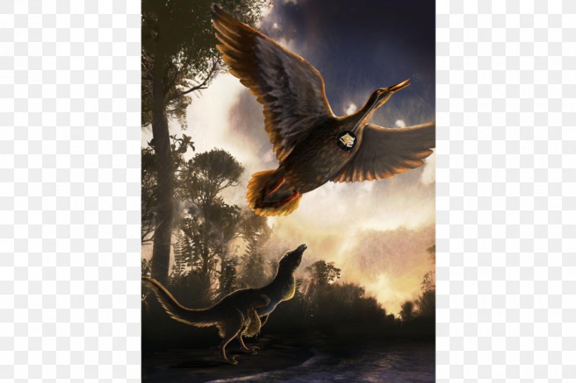 Vegavis Bird Archaeopteryx Dinosaur Fossil, PNG, 900x600px, Watercolor, Cartoon, Flower, Frame, Heart Download Free