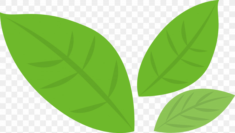 Banana Leaf, PNG, 3000x1699px, Leaf, Banana Leaf, Green, Plant, Symmetry Download Free