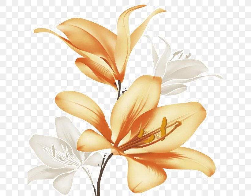 Lilium White, PNG, 640x640px, Lilium, Cut Flowers, Flower, Flowering Plant, Lily Download Free