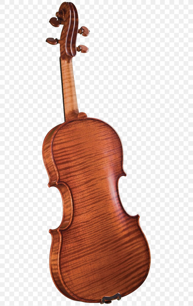 Violone Violin Viola Cello Cremona, PNG, 1008x1600px, Watercolor, Cartoon, Flower, Frame, Heart Download Free