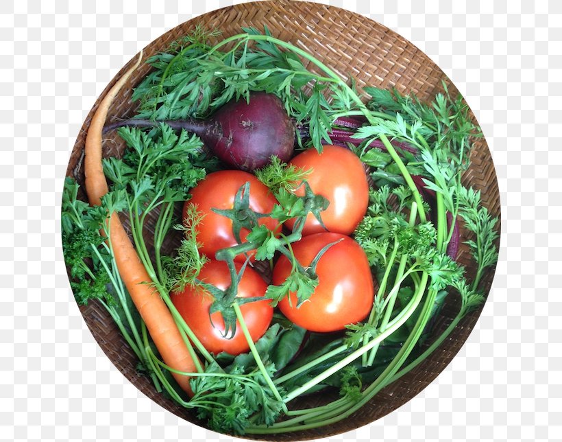 Bush Tomato Vegetarian Cuisine Food Leaf Vegetable, PNG, 642x644px, Tomato, Bush Tomato, Diet, Diet Food, Food Download Free