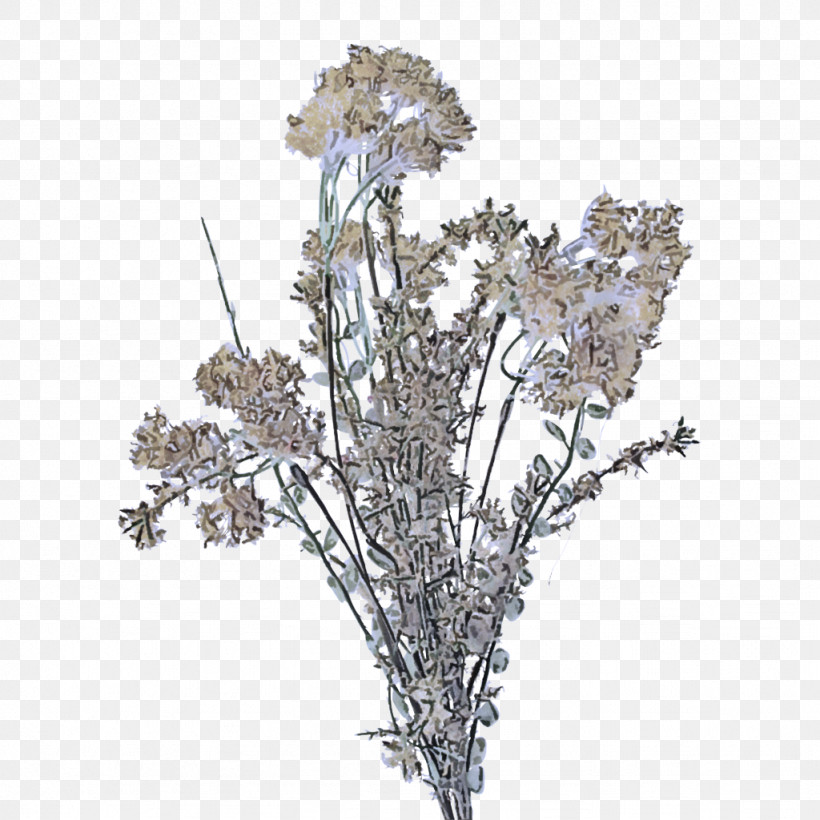 Flower Plant Cut Flowers Branch Tree, PNG, 1024x1024px, Flower, Bouquet, Branch, Cut Flowers, Heracleum Plant Download Free