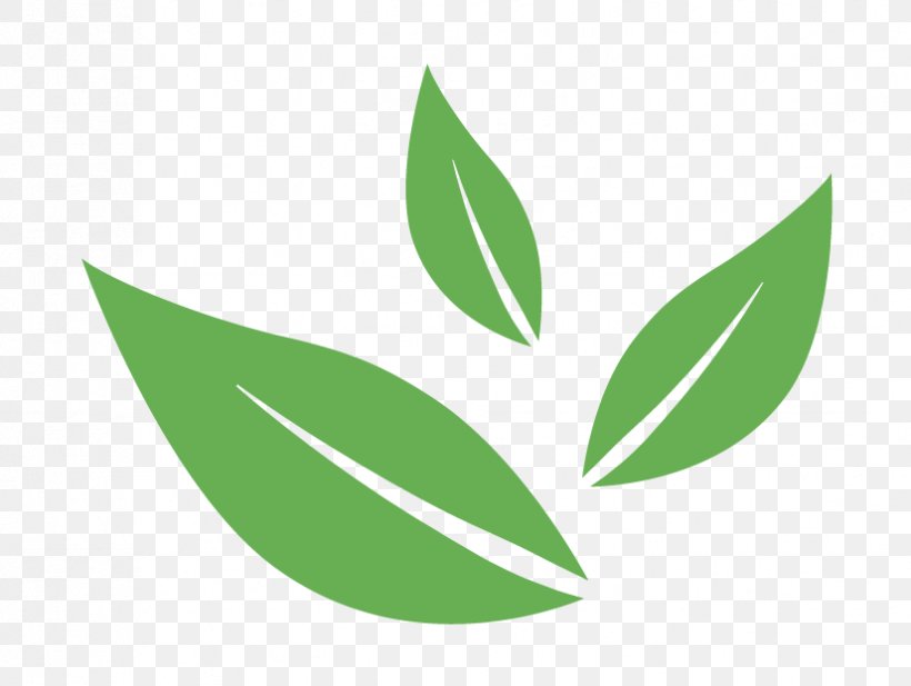 Logo Leaf Font Product Design, PNG, 826x622px, Logo, Botany, Flower, Green, Leaf Download Free