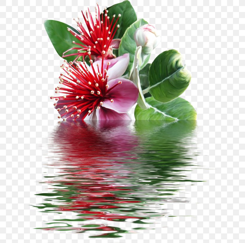 Flowering Plant Floral Design Petal, PNG, 650x812px, Watermark, Flora, Floral Design, Flower, Flowering Plant Download Free