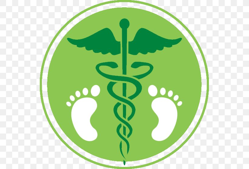 Staff Of Hermes Doctor Of Medicine Health Care Physician, PNG, 557x557px, Staff Of Hermes, Alternative Health Services, Area, Asclepius, Doctor Of Medicine Download Free