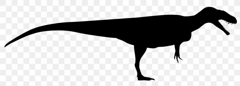 Dinosaur, PNG, 1200x434px, Megalosaurus, Afrovenator, Beak, Blackandwhite, Dinosaur Download Free