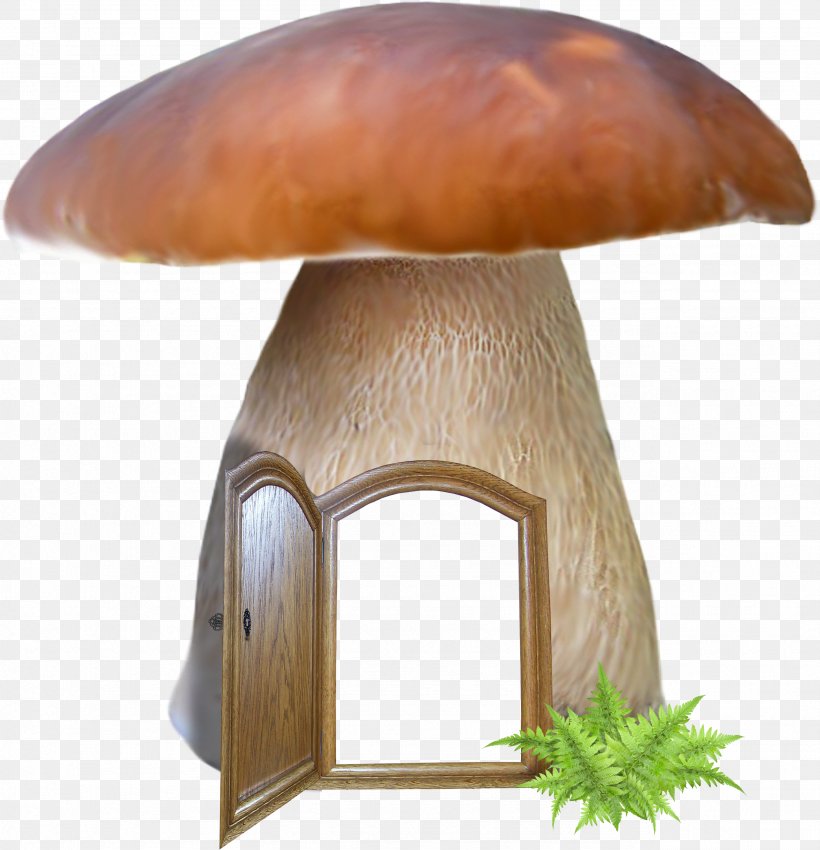 Mushroom Autumn Risotto, PNG, 2567x2661px, Mushroom, Agaricus, Askartelu, Autumn, Craft Download Free