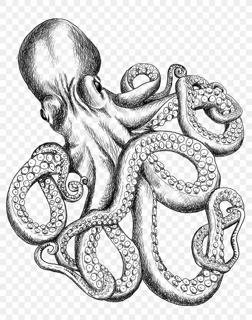 Octopus T-shirt Line Art Drawing Sketch, PNG, 1263x1600px, Octopus, Art, Black And White, Bluza, Body Jewelry Download Free