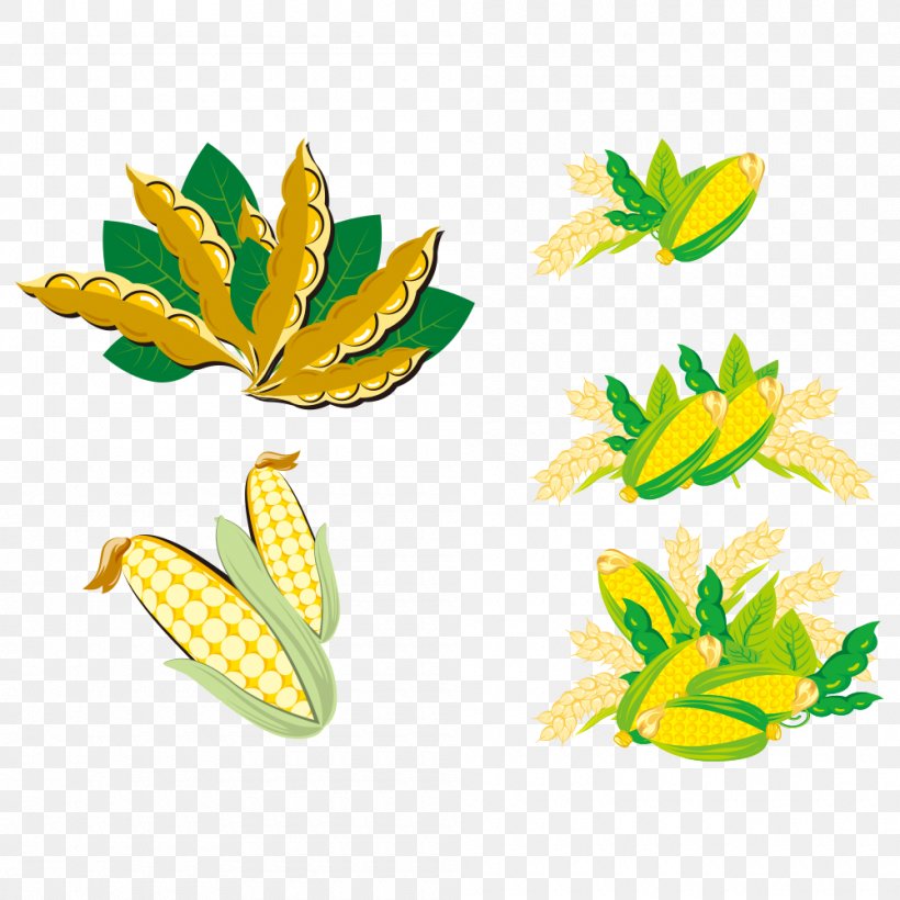 Soybean Clip Art, PNG, 1000x1000px, Soybean, Bean, Flower, Flowering Plant, Food Download Free