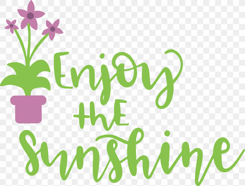 Sunshine Enjoy The Sunshine, PNG, 3000x2281px, Sunshine, Biology, Floral Design, Geometry, Green Download Free