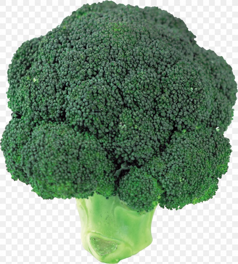 Broccoli Slaw Vegetable, PNG, 1977x2189px, Broccoli Slaw, Broccoli, Cauliflower, Fruit, Grass Download Free