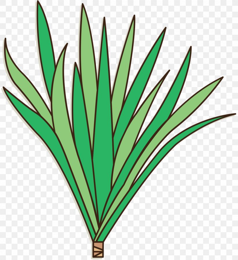 Leaf Clip Art Plant Stem Line Grasses, PNG, 1336x1461px, Leaf, Botany, Flower, Grass, Grasses Download Free