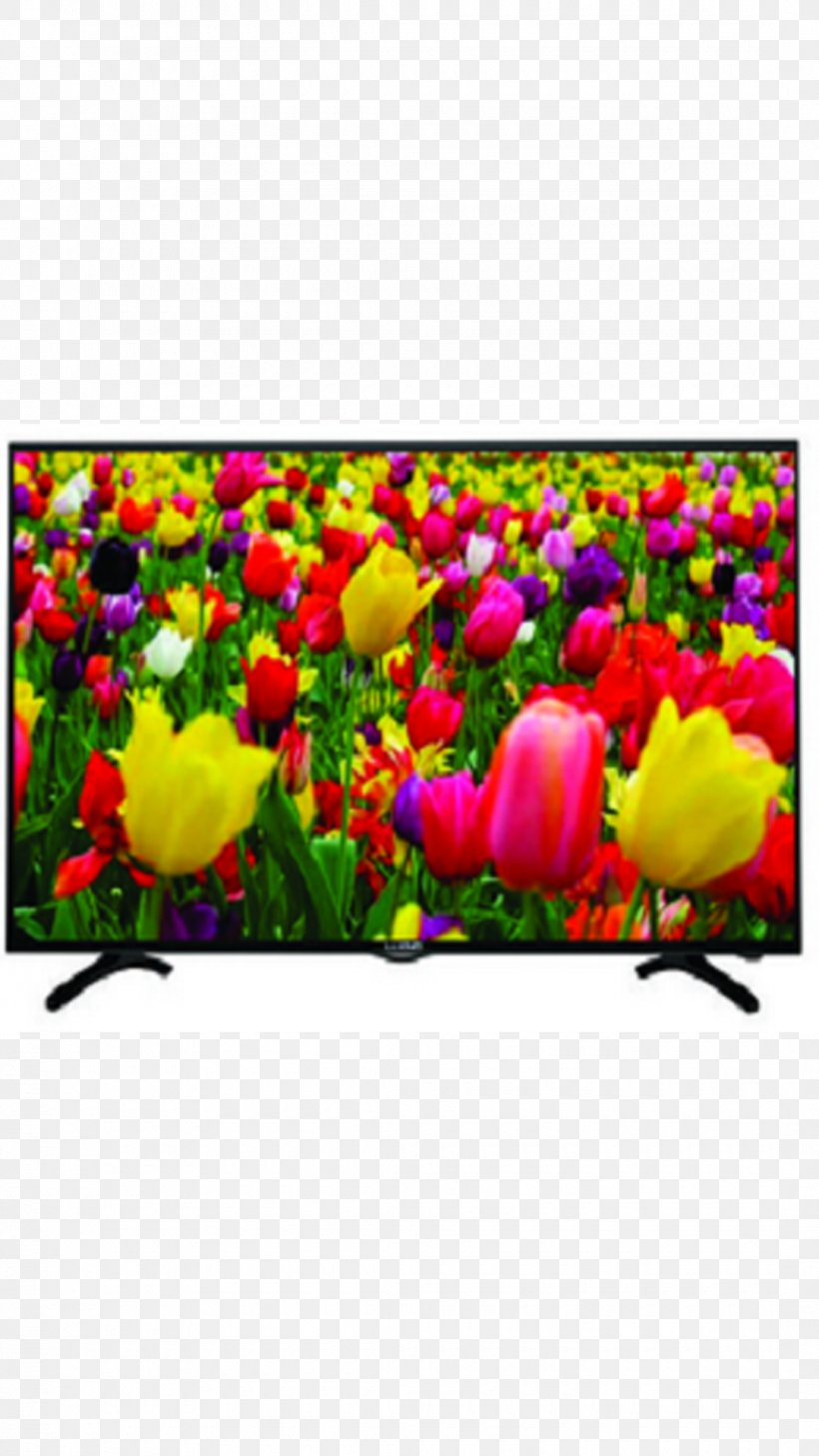LED-backlit LCD High-definition Television HD Ready 1080p, PNG, 1080x1920px, Ledbacklit Lcd, Flower, Flowering Plant, Hd Ready, Hdmi Download Free