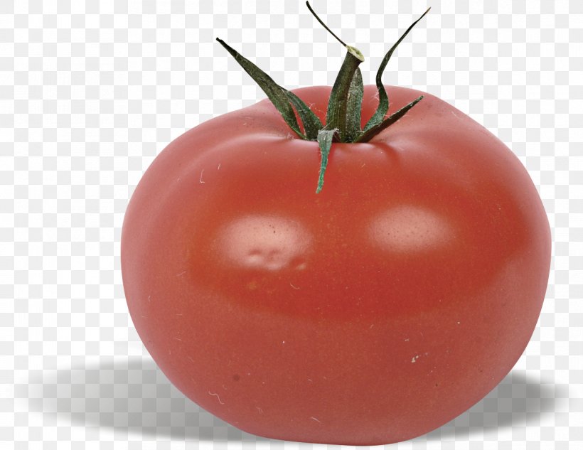 Plum Tomato Bush Tomato Vegetable Food, PNG, 1193x921px, Plum Tomato, Bread, Bush Tomato, Canned Tomato, Canning Download Free