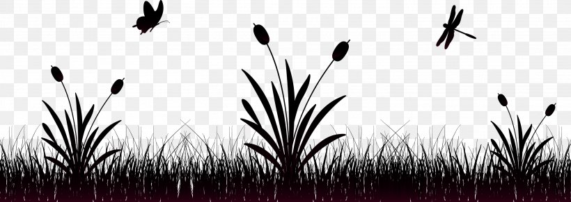 Vector Grass, PNG, 2917x1037px, Dragonfly, Black And White, Computer Software, Grass, Grass Family Download Free