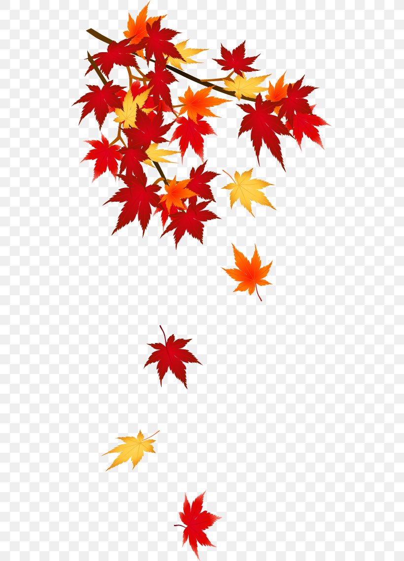 Autumn Leaf Color Clip Art, PNG, 530x1140px, Autumn Leaf Color, Autumn, Flower, Flowering Plant, Leaf Download Free