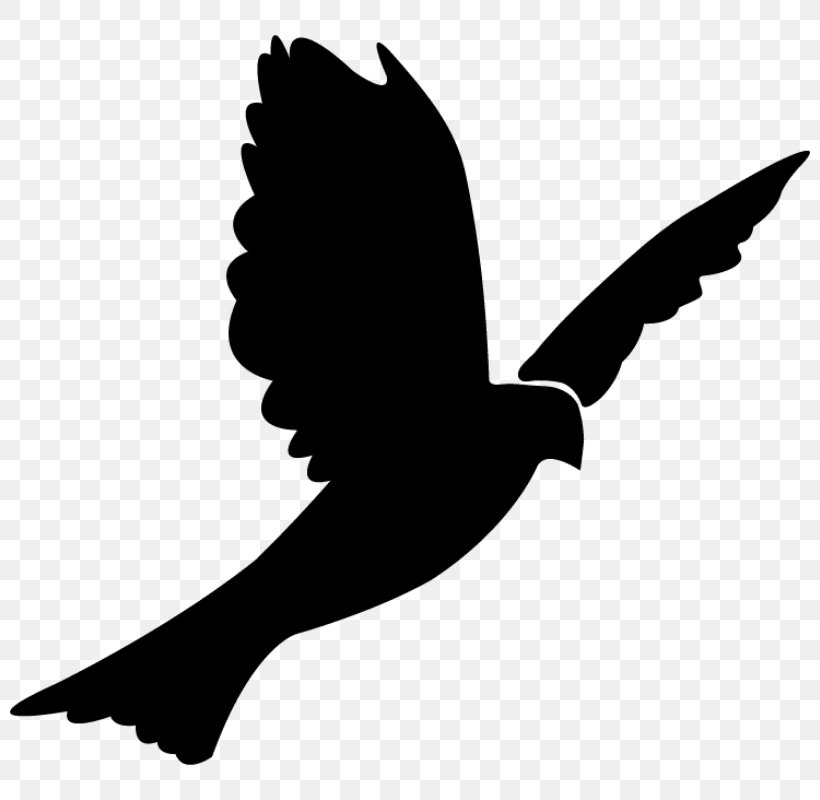 Columbidae Bird Rock Dove Silhouette Clip Art, PNG, 800x800px, Columbidae, Art, Beak, Bird, Bird Flight Download Free