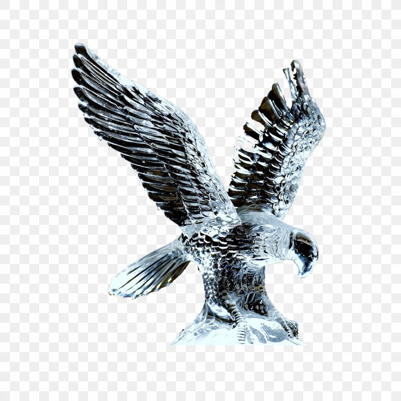 Eagle Bird Hawk, PNG, 1000x1000px, Eagle, Accipitriformes, Beak, Bird, Bird Of Prey Download Free