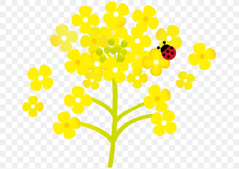 Flower And Ladybug., PNG, 673x582px, Floral Design, Art, Branch, Cut Flowers, Flora Download Free