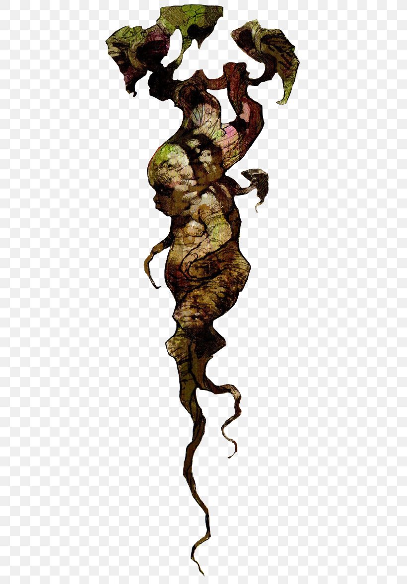 Harry Potter And The Chamber Of Secrets Mandrake Witch Magic, PNG, 404x1177px, Mandrake, Art, Botanical Illustration, Fawkes, Fictional Character Download Free