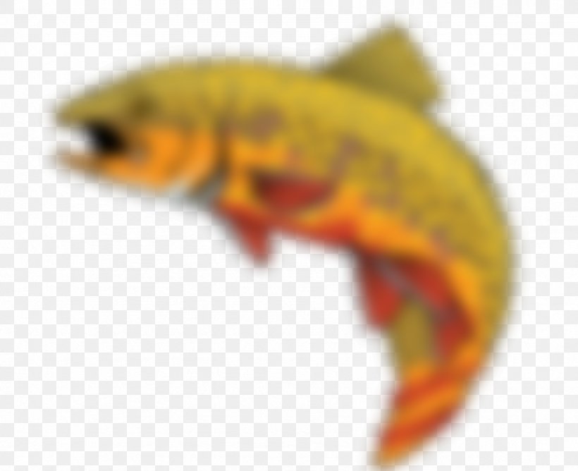 Newt Koi Reptile Fauna Fish, PNG, 1693x1381px, Newt, Close Up, Fauna, Fish, Koi Download Free