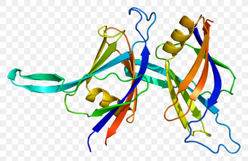 PRKCD PRPF3 Protein Kinase Ribonucleoprotein, PNG, 843x551px, Protein, Area, Gene, Kinase, Organism Download Free