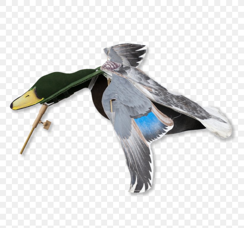 Duck Mallard Hunting Goose Decoy, PNG, 768x768px, Duck, Beak, Bird, Cygnini, Dangate Download Free