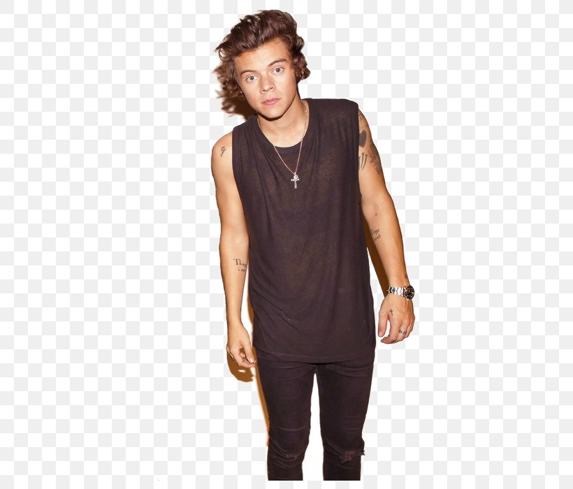 Harry Styles The X Factor Photo Shoot After One Direction, PNG, 500x700px, Watercolor, Cartoon, Flower, Frame, Heart Download Free