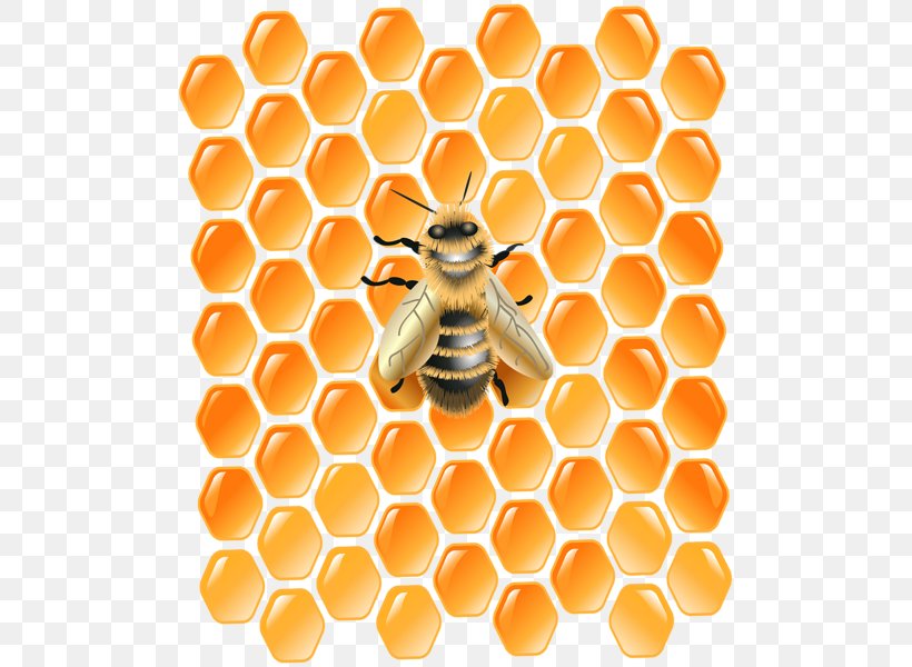 Honeycomb Western Honey Bee Desktop Wallpaper Clip Art, PNG, 503x600px, Honeycomb, Bee, Beehive, Hexagon, Honey Download Free