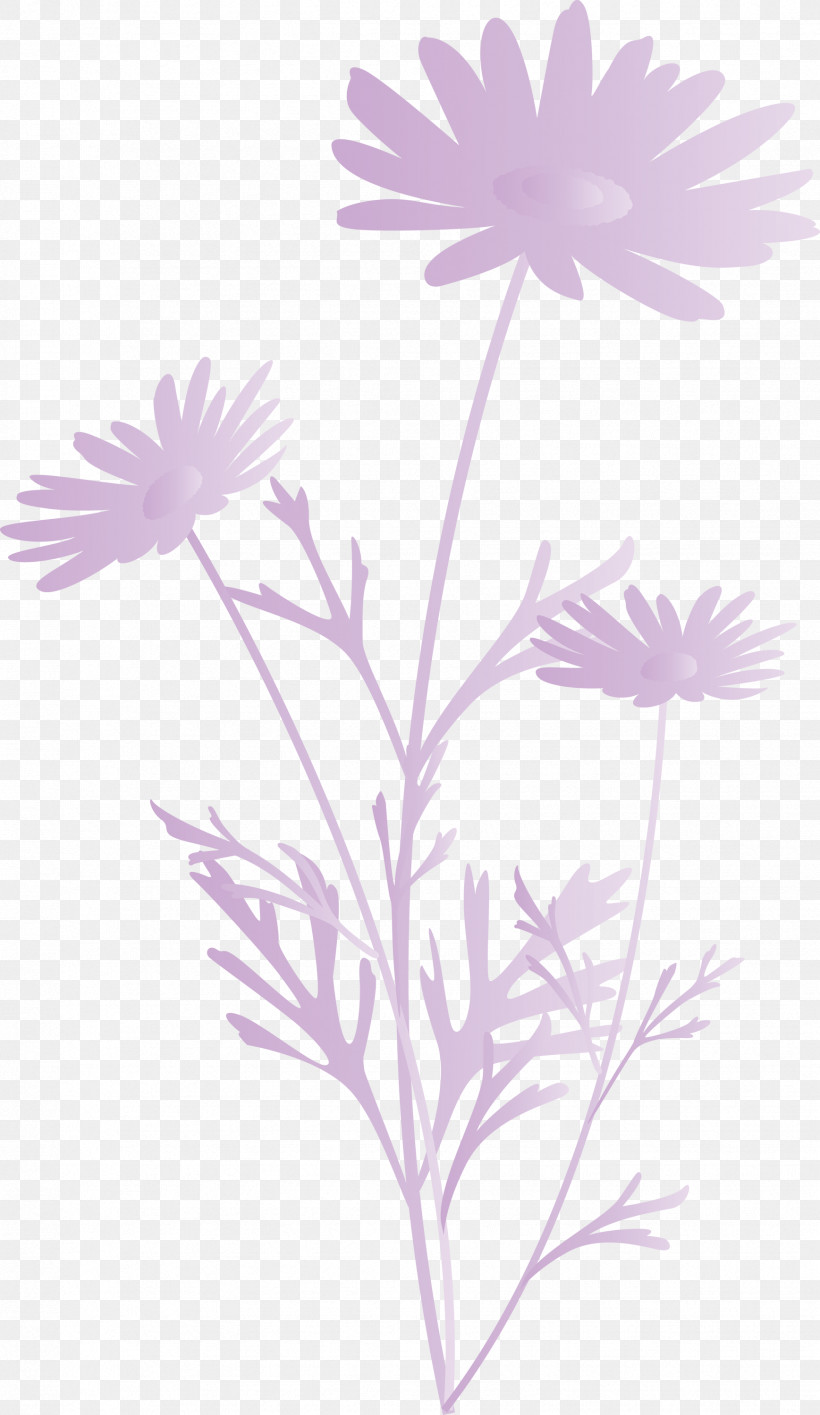 Marguerite Flower Spring Flower, PNG, 1737x2999px, Marguerite Flower, African Daisy, Aster, Camomile, Chamomile Download Free