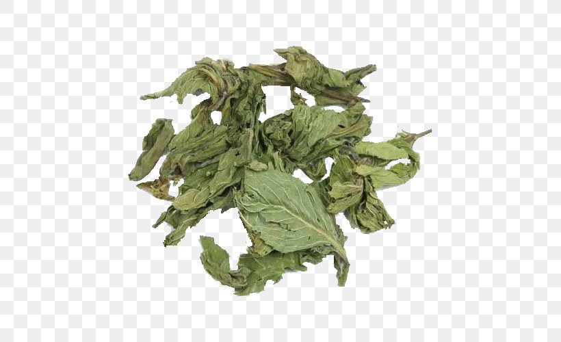 Tea China Mentha Spicata Peppermint Herb, PNG, 500x500px, Tea, Bancha, Blood, China, Chinese Herbology Download Free