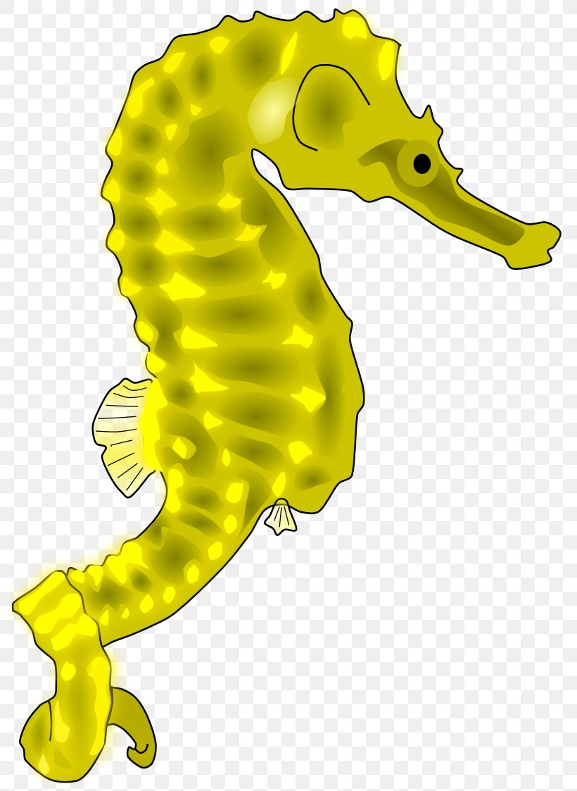 seahorse drawing colorful